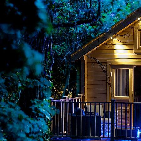 Alum Chine Log Cabin Bournemouth Exterior photo