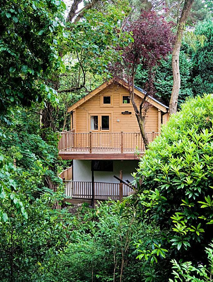 Alum Chine Log Cabin Bournemouth Exterior photo